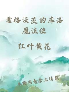 霍格沃茨的库洛魔法使