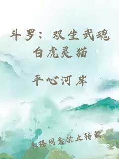 斗罗：双生武魂白虎灵猫