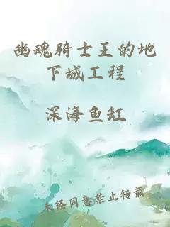 幽魂骑士王的地下城工程